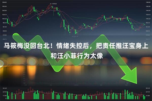 马筱梅没回台北！情绪失控后，把责任推汪宝身上 和汪小菲行为太像
