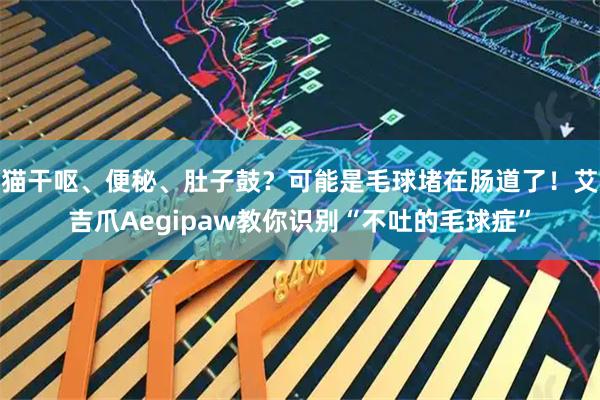 猫干呕、便秘、肚子鼓？可能是毛球堵在肠道了！艾吉爪Aegipaw教你识别“不吐的毛球症”
