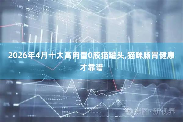 2026年4月十大高肉量0胶猫罐头,猫咪肠胃健康才靠谱