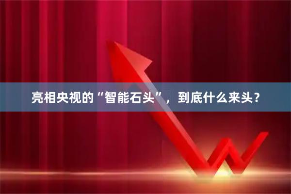 亮相央视的“智能石头”，到底什么来头？