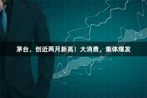 茅台，创近两月新高！大消费，集体爆发